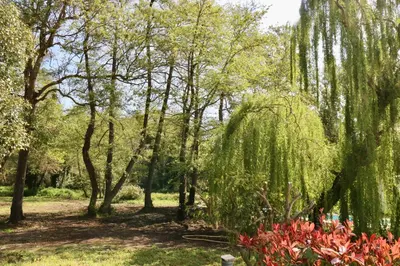 Jardin de l'établissement Gîtes Terra di a Bravona
