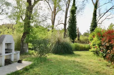 Jardin de l'établissement Gîtes Terra di a Bravona