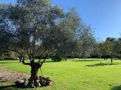 Jardin de l'établissement 2026 - grand studio avec piscine et plage à 50 m