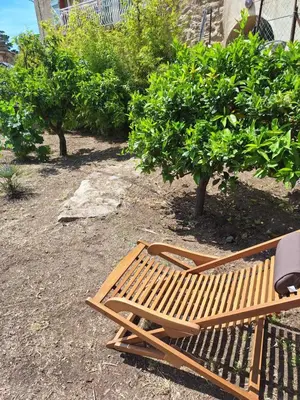 Jardin de l'établissement Casa di Pilou - Maison et jardin près de la mer - Corbara