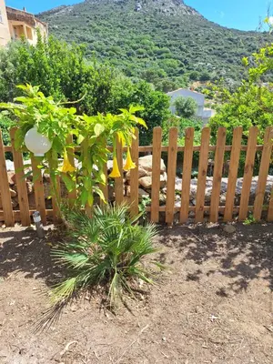 Vue générale sur la montagne ou vue sur la montagne depuis la maison de vacances