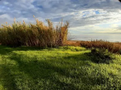 Paysage naturel près de la maison de vacances