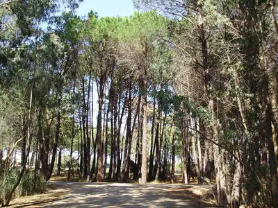 Paysage naturel près de l'appartement