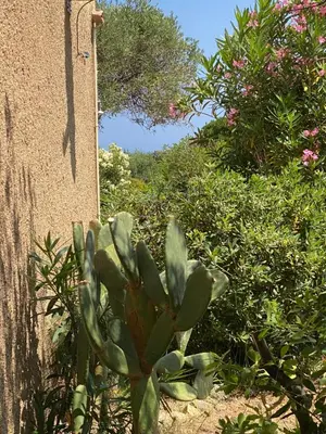 Jardin de l'établissement Cassetta 92 Marie-Pierre