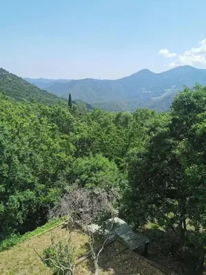Paysage naturel près de l'appartement