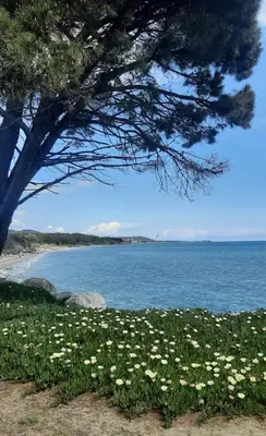 Paysage naturel près de la maison de vacances