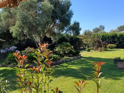 Jardin de l'établissement Le jardin de Domi