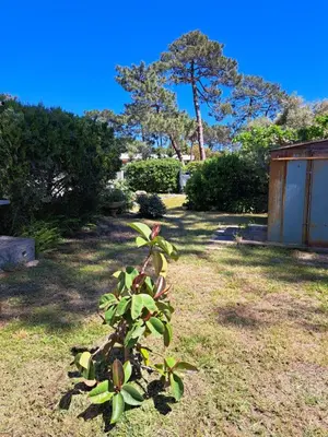 Jardin de l'établissement Mini villa jardin 50 m plage