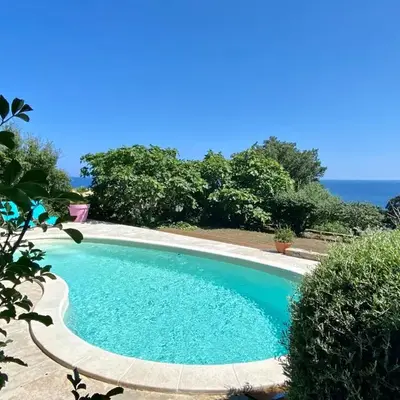 Bella Vita Brando