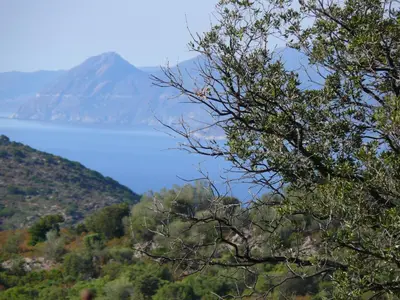 Paysage naturel près de la maison de vacances
