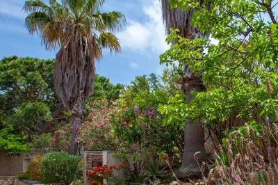 Jardin de l'établissement Davia 2 - Grande terrasse vue mer