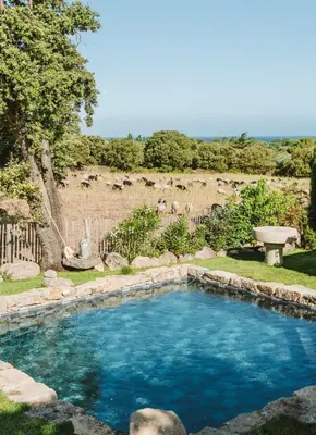 Piscine de l'établissement Résidence CASE DI PIGNA magnifique villa avec piscine, de 2 à 6 personnes ou située à proximité