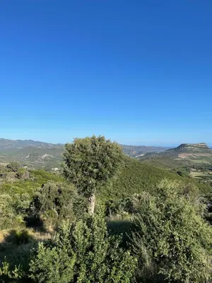 Paysage naturel près de le B&B/chambre d'hôtes