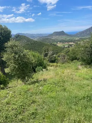 Paysage naturel près de le B&B/chambre d'hôtes