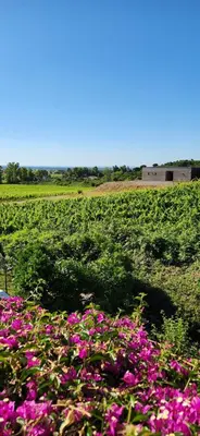 Jardin de l'établissement Charmant T3 en rez de jardin d'une villa