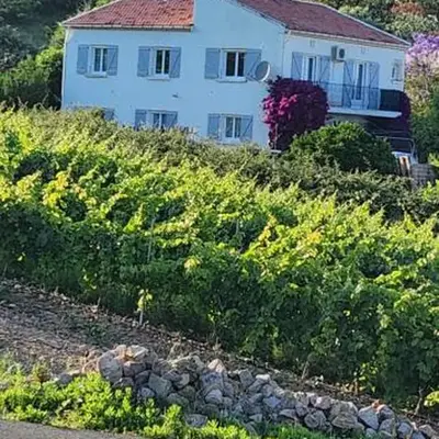 Charmant T3 en rez de jardin d'une villa