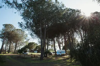 Paysage naturel près de le camping