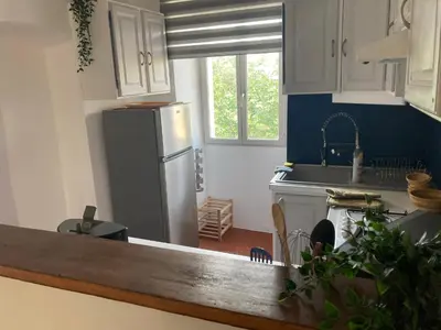 Cuisine ou kitchenette dans l'établissement L’Attellu