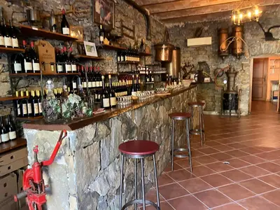 Boissons dans l'établissement Hotel Du Vignoble