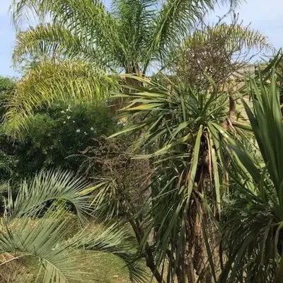 Mare è Monte