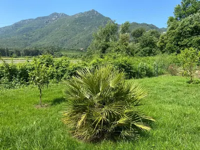 Paysage naturel près de l'appartement