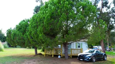 Jardin de l'établissement Camping Miami plage