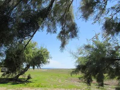 Paysage naturel près de le camping