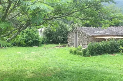 Jardin de l'établissement Olivetu