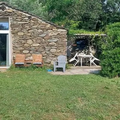 Olivetu