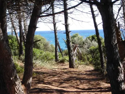 Paysage naturel près de l'appartement