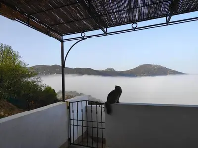 Paysage naturel près de l'appartement