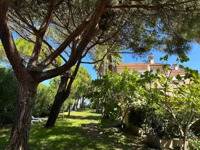 Jardin de l'établissement Résidence les chênes