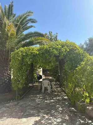 Animal ou animaux domestique(s) séjournant avec des clients dans l'établissement Appartement en rez de villa