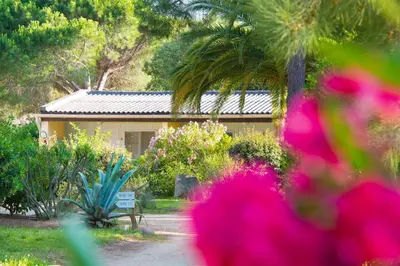 Jardin de l'établissement Feriendorf zum störrischen Esel