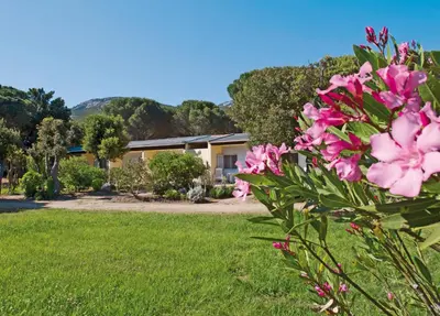 Jardin de l'établissement Feriendorf zum störrischen Esel