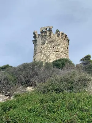 Plan de l'établissement Domaine Amortella Saint-Florent
