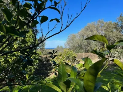 Paysage naturel près de la villa