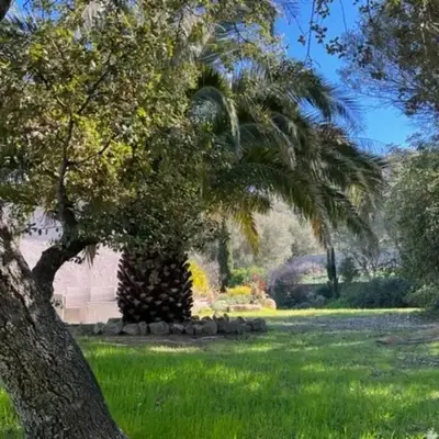 Maison Jardin d'Agrumes - Lozari