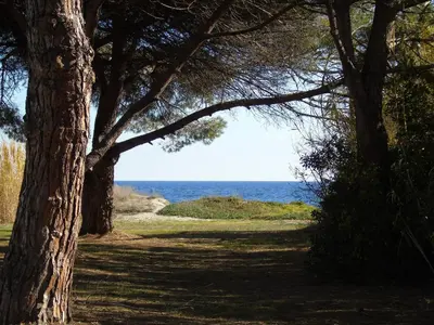Paysage naturel près de l'appartement