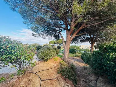 Paysage naturel près de l'appartement