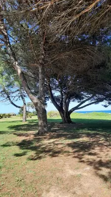 Paysage naturel près de l'appartement