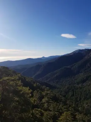 Paysage naturel près de l'appartement