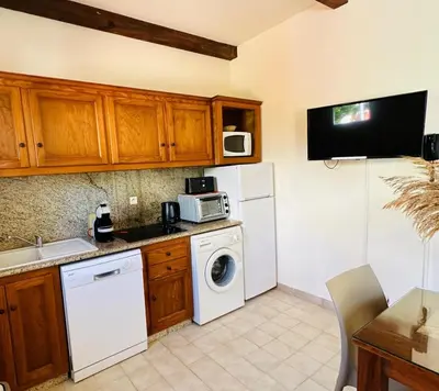 Cuisine ou kitchenette dans l'établissement Appartement front de mer et piscines