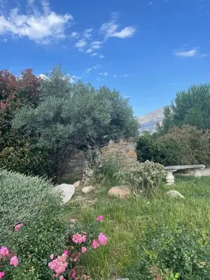 Paysage naturel près de la villa