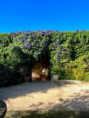 Jardin de l'établissement Domaine Victoria
