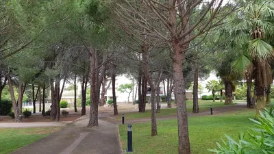 Jardin de l'établissement Très beau T3 dans résidence avec piscine à 5 min à pied de la plage et commerces