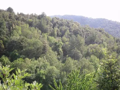 Paysage naturel près de le B&B/chambre d'hôtes
