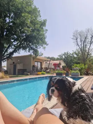 Animal ou animaux domestique(s) séjournant avec des clients dans l'établissement casasantellix