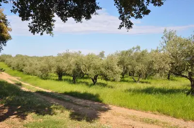 Paysage naturel près de l'appartement