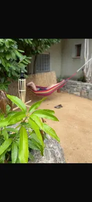 Jardin de l'établissement Maison familiale charmante